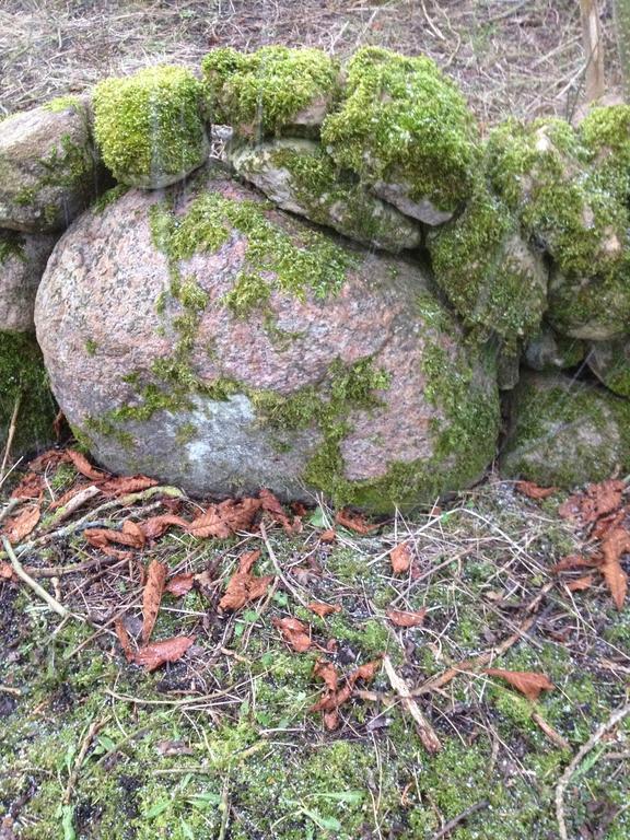 Paradiset Oestra Oeland Nedra Sandby Buitenkant foto